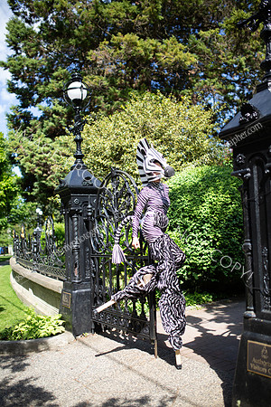 @toshalobsingerismyphotographer-6013