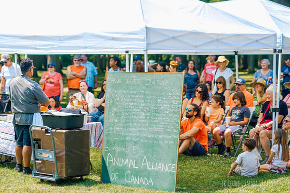 VegFest 2024
